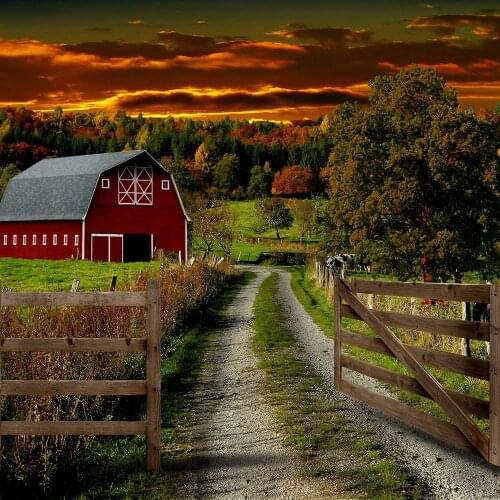 Pure Country Evening red barn Fence Tree sunset background High quality Computer print scenic backdrops
