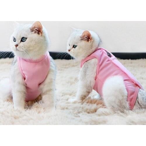 PetApartment Clothes For Cats