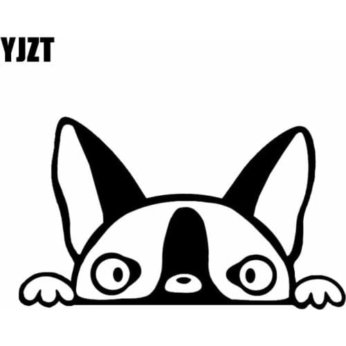 YJZT 13.5CM*8CM Peeking Boston Terrier Dog Good Vinyl Car Styling Car Sticker Black/Silver C2-3197