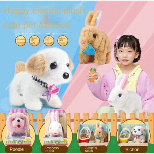 Bigebige Electronic Toys