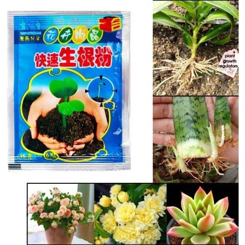 10 Bags Rapid Rooting Powder Agent for Fruit Tree Cutting Flower Plants New Design