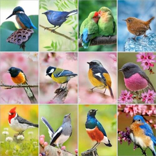 HUACAN Diamond Painting Animal Bird Diamond Embroidery Tree Full Drill Decoration Painting With Diamonds Handmade Gift