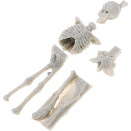 1/35 Skull Skeleton Model Handicraft Handmade Unpainted Sand Table Accs Gift