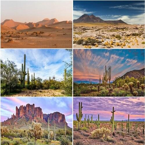 Desert Landscape Wonders Background Vinyl Holiday Party Photography Props Living Room Bedroom Bedside Decoration Banner