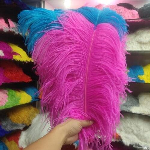 50Pcs High Quantity Rose and Sky Blue 22-24 inch/55-60cm "thick stem" male ostrich feathers Plumes Party Home Wedding Decoration