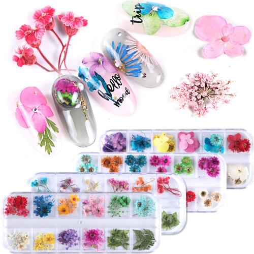 1 Case Natural Dry Flower Nail Art 3D Charms Dried Real Flora Wraps Leaves Multi Color Gel Nail Polish Nail Decorations BEF01-10