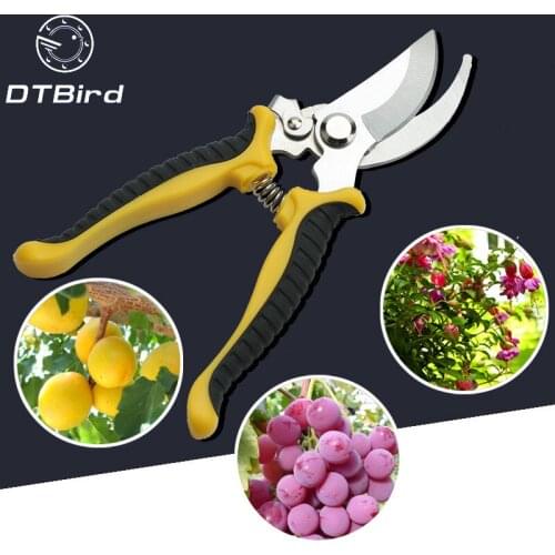 Секаторы DTBird China At AliExpress