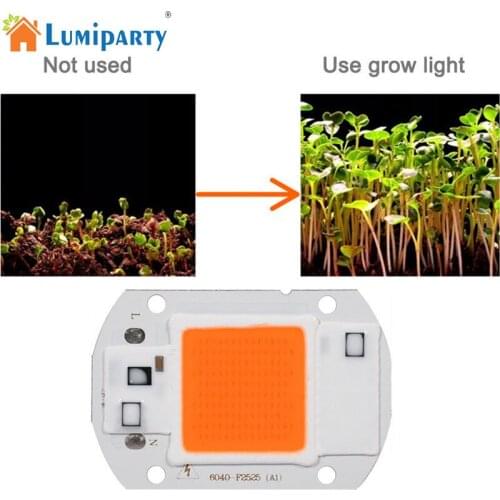 LumiParty Plant Lamps