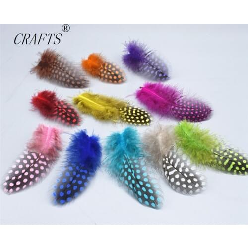 Lovely 20 pieces of different color guinea fowl feather DIY ornament accessories 5-10cm