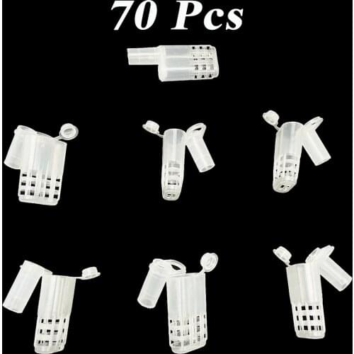 70PCS Queen Rearing Cage Box Cup Plastic Introduction Imprison Captivity Bee Tools Beekeeping Supplies Equipment Apiculture