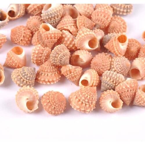 50pcs Natural Spiral Shell Beads Nonporous beads for Hand decorated home furnishings and aquarium accessories TRS0406