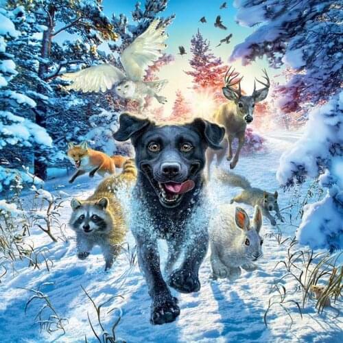JMINE Div 5D Winter Wonderland Snow Dog Full Diamond Painting cross stitch kits art High Quality Animal 3D paint by diamonds
