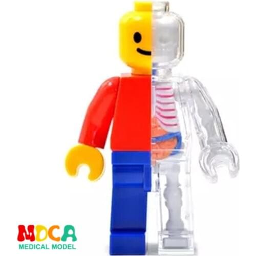 Classic brick man 4d master puzzle Assembling toy Perspective bone anatomy model