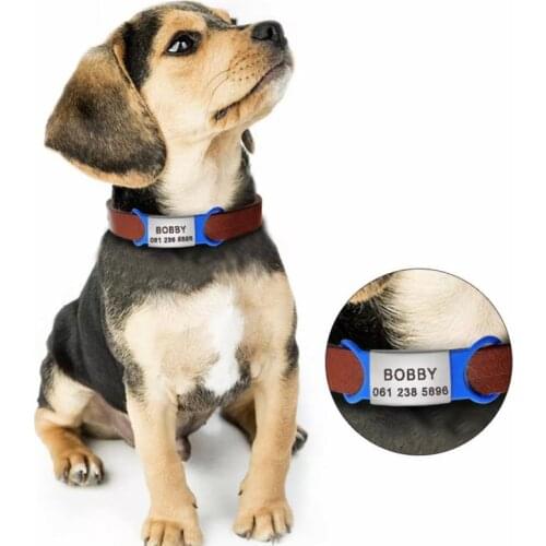 Personalized Dog Tags for Dog Stainless Steel Silica Gel Customization Dog Name Telephone Numbers Charm Jewelry Dog GIfts
