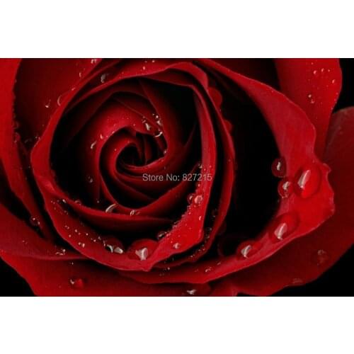 Ceiling Material R-2833 PVC Stretched Ceiling Films and Ceiling Tiles for ceiling decoration