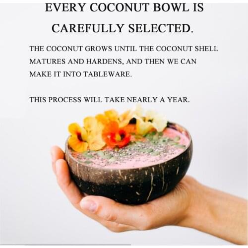 100% natural coconut bowl with Silica gel base cute fruit salad bowl creative rice noddles spaghetti bowl texture tableware