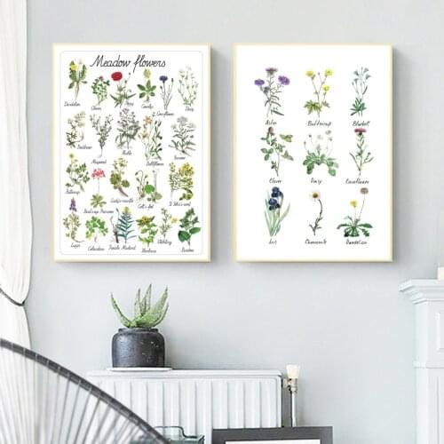 Plant Flowers Art Canvas Painting Natural Educational Poster Botanical Kindergarten Wall Art Picture Prints Kids Room Wall Decor