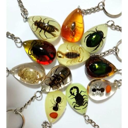 YQTDMY 12 pcs mixed color vogue scorpion ant beetle keychain Specimen keychain Crafts