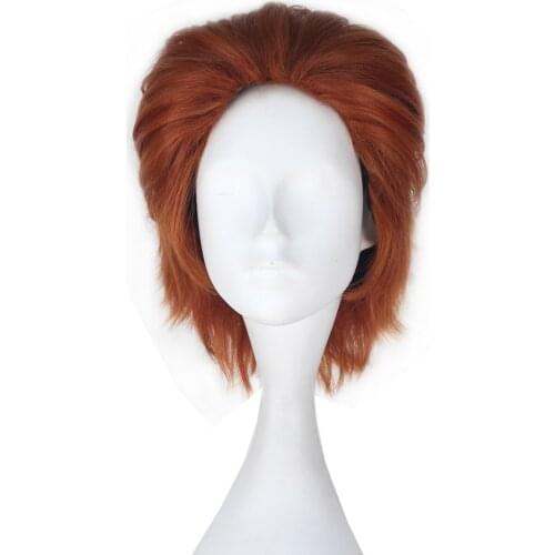Anime Hunter X Hunter Hisoka Wigs Short Straight Hair Mens Womens Halloween Cosplay Wig Synthetic Adult Boy