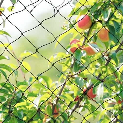 3 Sizes Anti Bird Netting Deer fence Garden fence and Crops Protective Fencing Mesh Anti Bird Deer Against Garden Allotment