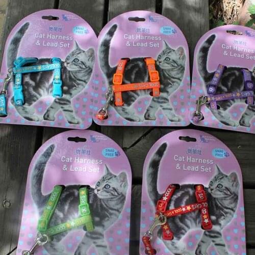 Dog Collar Lead Angle Wings Vest Dog Harness Leash Pets Accessories For Chihuahua Cat Harness And Leash Set Chest Strap Rope