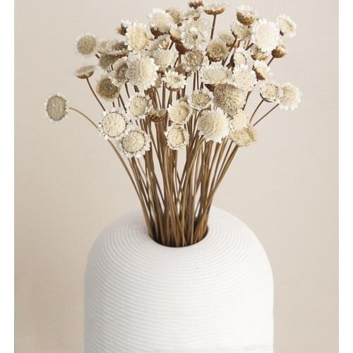 Vintage Natural Dried Flowers 50 Pcs Beautiful Eternal Marguerite Bouquet Display Living Room/Shop Decoration Flower Arrangement