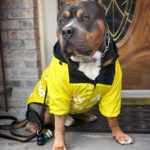 Fashion Frenchbulldog Raincoat Pet Dog Clothes for Small Dogs Clothing Chihuahua Jacket Pug Hoodies Costume Dropshipping