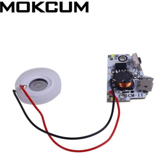 DC 5V Atomizing Humidifier Module Spray Head Module DIY Humidifier USB Connector with Atomized Film and Cotton Swab