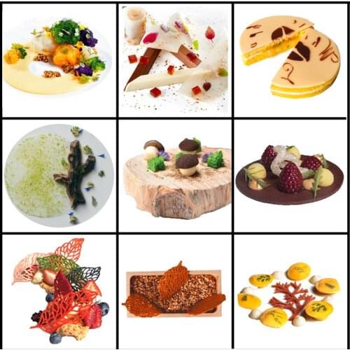 SHENHONG Dessert Placing Decoration Mould 20 Types Silicone Cake Molds Pastry Baking Tools Fondant Model Lace Mat Bakeware