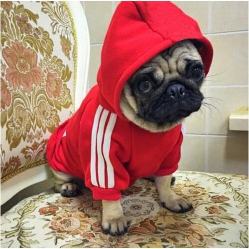 Winter Warm Dog Clothes Puppy Cat Jacket Outfit For Small Dogs Chihuahua French Bulldog Clothing Coat Pet Pug Costume S-XXL