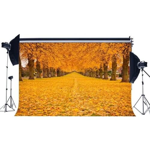 Autumn Backdrop Golden Leaves Nature Outdoor Park Trees Romantic Wallpaper Harvest Photography Background