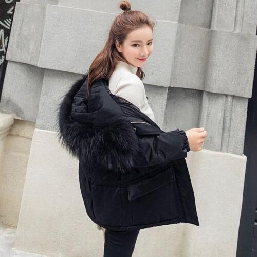 Korean Special Offer Long Solid No Zipper Cotton-padded Jacket 2019 New Student Easy Joker Warm Heavy Seta Lead Cotton Clothes