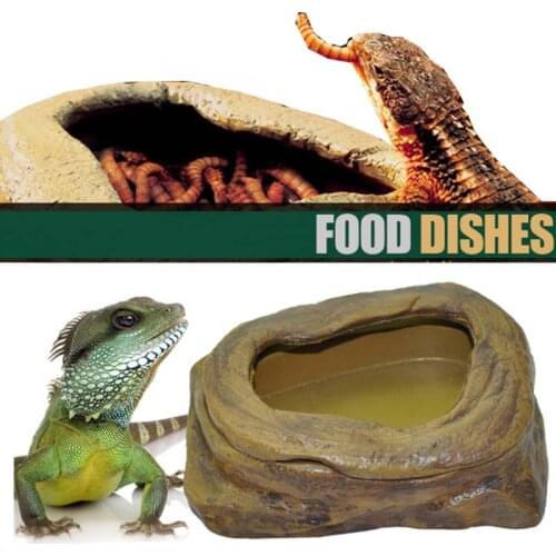 Crawler Pet Feeder Bowl Basin Resin Non-toxic Food Water Pot Reptile Turtle Tortoise Scorpion Lizard Crabs Pets Supplies