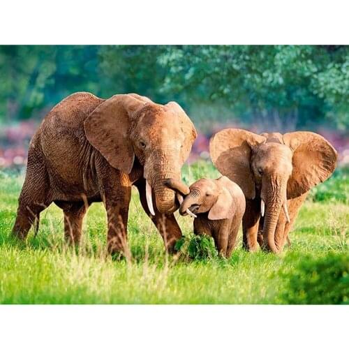KEXINZU Full Square/Round Drill 5D DIY Diamond Painting "Elephant family" Embroidery Cross Stitch 5D Home Decor Gift Y53130