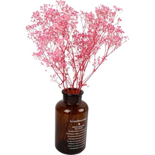 100G Natural Dried Flowers Baby Breathing Flower Gypsophila Real Plants Wedding Decor Home Flower Arrangement