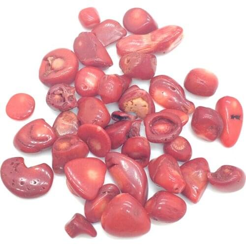 100g Natural Red Coral Gravel Tumbled Stones Crystal Jade Polished Chips Chakra Ocean Plant Minerals Gifts Fengshui Decoration