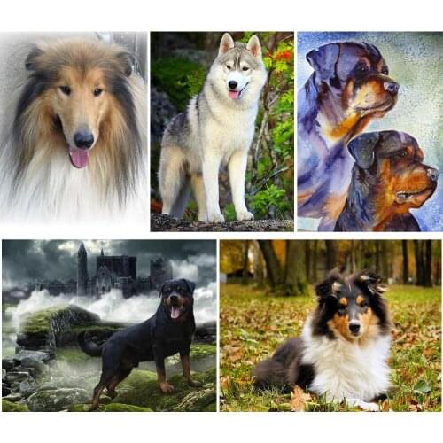 Full Square/Round 5D DIY Diamond Painting Animal dog picture of Rhinestones Diamond Embroidery Sale Home Decoration Husky FG1830