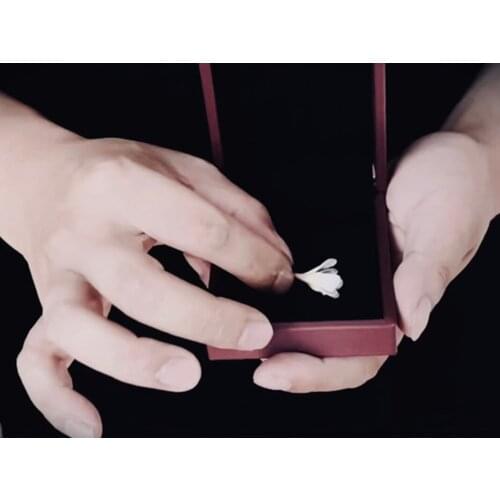 Mysterious Gift Box by Shawn Lee Close up Magic Tricks Wedding Magic Show Romantic Gimmick Street Magic Props Fun Toys Magician