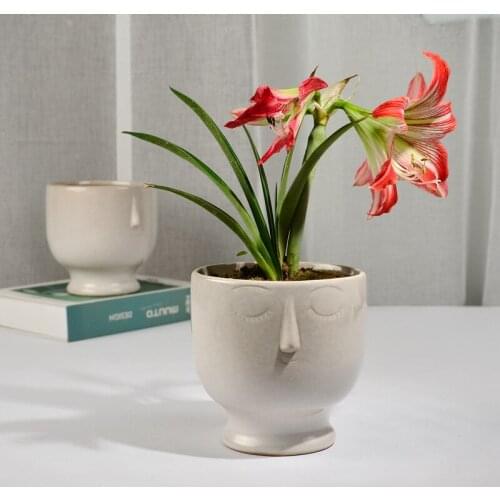 Creative Nordic Export Ceramic Art Face Abstract Flowerpot Ornaments Home Soft Decoration Succulent Plant Basin