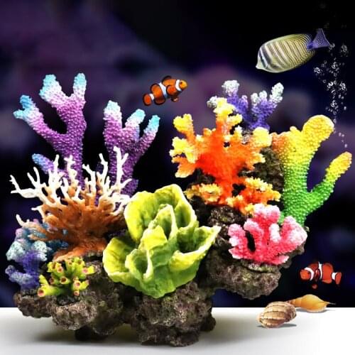 DW Aquarium Simulation Coral Starfish Aquarium Miniature Garden Micro Moss Landscape DIY Fish Culture Accessories