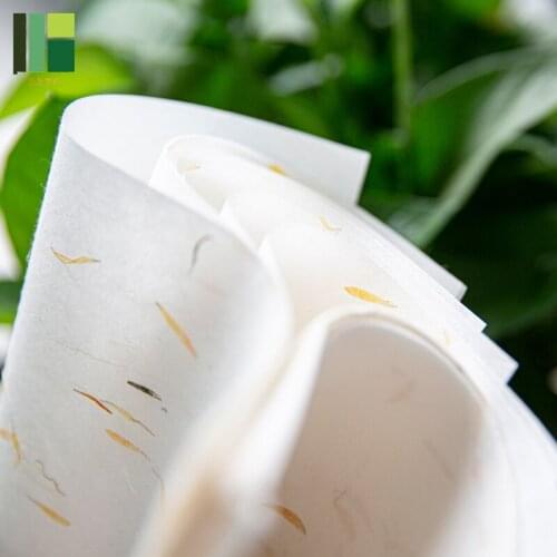 18cm*29cm Chinese Calligraphy Paper Papel Arroz Half Ripe Xuan Paper Fiber Tea Pattern Rice Paper Painting Rijstpapier 20 Sheets