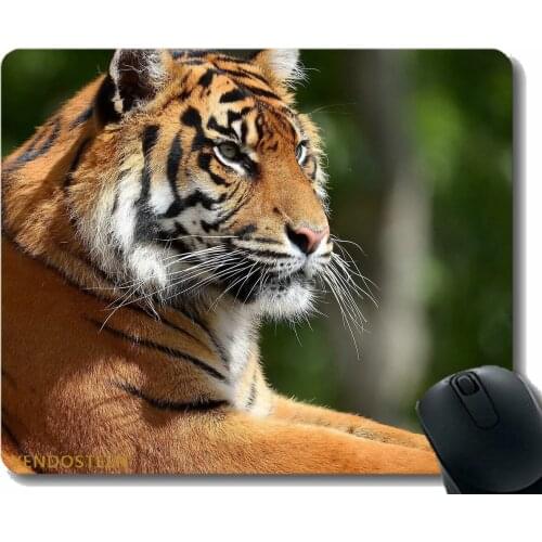 Gaming Mouse Pad Custom,Tiger Predator Legs Lie Face Big Cat 56792 Non-Slip Rubber Base Mousepad