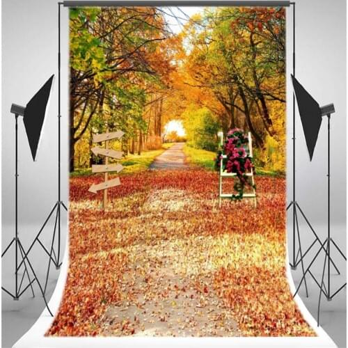 Photography Backdrop Nature Golden Leaves Trees Wood Road Sign Fresh Flowers Dirt Road Ric Girl