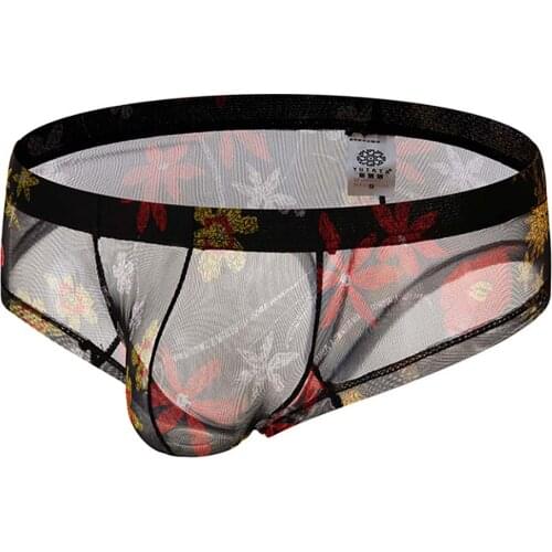 Large Size Men Underwear Printed See-Through Sexy Underpants Mens Briefs U-Shaped Pouch Low Rise Panties Breathable Male Gay New