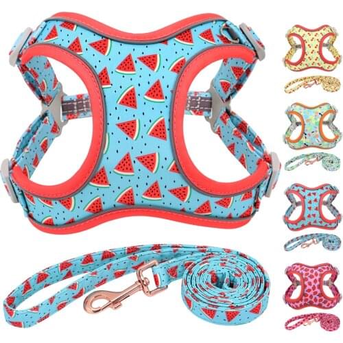 Nylon Dog Harness for French Bulldog Dog Puppy Harness Leash Small Dogs Vest Leashes Cute Printed Pet Harness for Chihuahua Pug