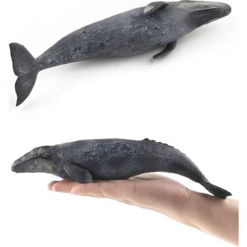 1PC 26.5CM Big Ocean Sea Animal Grey Whale Models Children Simulational Toys Gifts Collections DIY