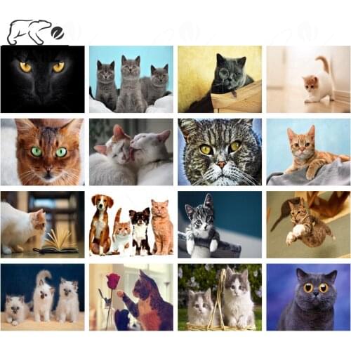 Big Eyes Cat Diamond Painting Jewelry Cross Stitch Animal Photography Picture Diamond Embroidery Handmade Diy Gift Diamond Decor