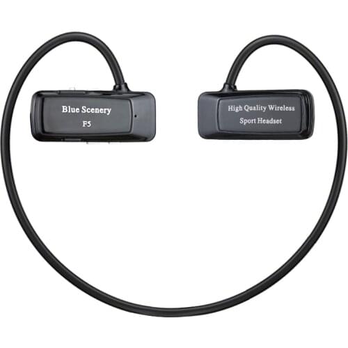 Daono F5 Sports In-Ear Wireless Bluetooth Headphones Stereo Earbuds Headset Bass Earphone with FM Micro SD Card Slot