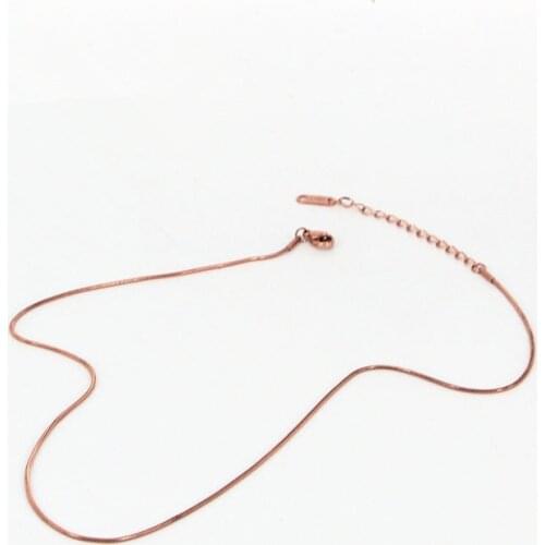 Titanium Steel Lucky Simple Jewelry Snake bone chain Necklace 40cm+5cm Europe Brand Style Bijoux NN002-2