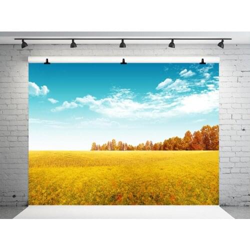 VinylBDS Autumn Scenic Photography Backdrop Grassland Blue Sky Photographic Background Natural Fondos De Estudio Fotografia